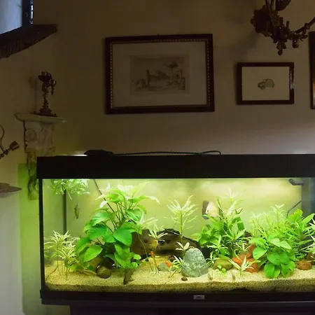 Dimora Degli Ulivi Βίλα Φλωρεντία